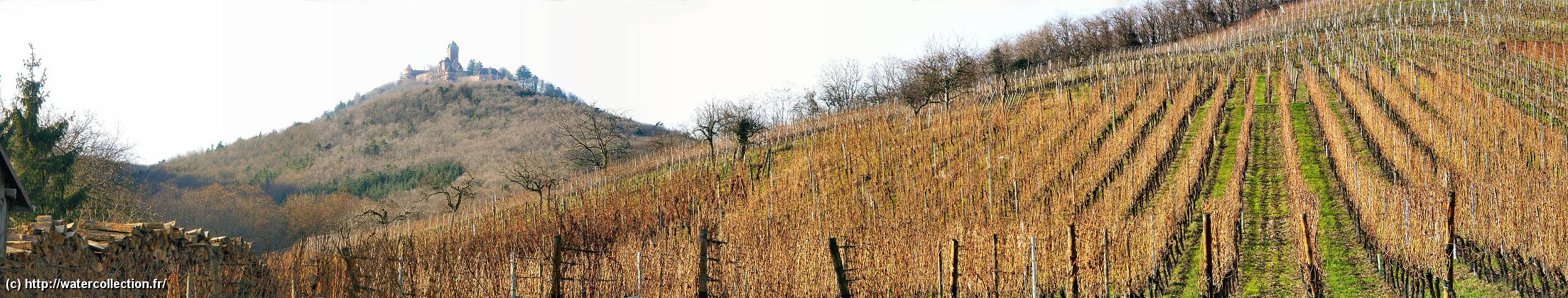 2005-01-08 15-31-00  DRAndCoPanorama.JPG